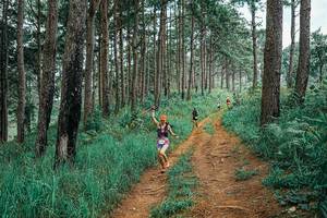 BIB: 
                            <button type="button" onclick="openModal(25660151)" class="btn btn-primary btn-sm float-right btn-popup" data-toggle="modal" data-target=".modal-high-quality">
                        <i class="fas fa-shopping-cart"></i> Add to Cart
                    </button>
                                            <button type="button" onclick="isThisMe(25660151, true)" class="btn btn-success btn-sm float-right btn-popup btn-isme hidden" data-toggle="tooltip" data-placement="bottom" title="นี่คือรูปของคุณใช่ไหม คลิกที่นี่เพื่อเอาเข้าอัลบั้ม">
                        <i class="fas fa-plus"></i> Add to album
                    </button>
                    <button type="button" onclick="isThisMe(25660151, false)" class="btn btn-warning btn-sm float-right btn-popup btn-isnotme hidden">
                        <i class="fas fa-ban"></i> Remove from album
                    </button>